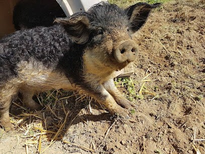 La Ferme de BioDup, Ferme Bio à Arbusigny