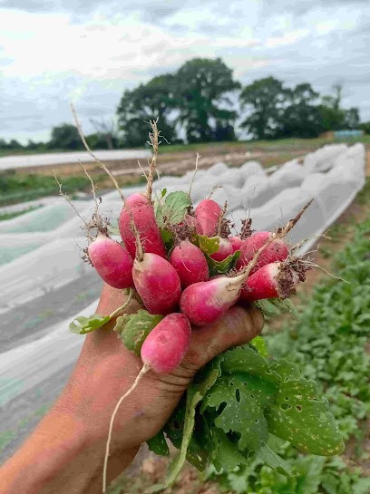 La Ferme des Roches, Ferme Bio à Condé-sur-Vire