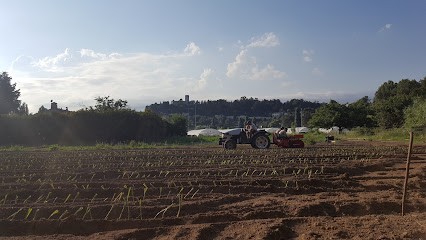 La Ferme Des Grenouilles, Ferme Bio à Villeneuve-Loubet