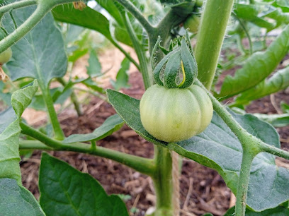 Le Jardin Des Sables Cbd, Ferme Bio à Cudos