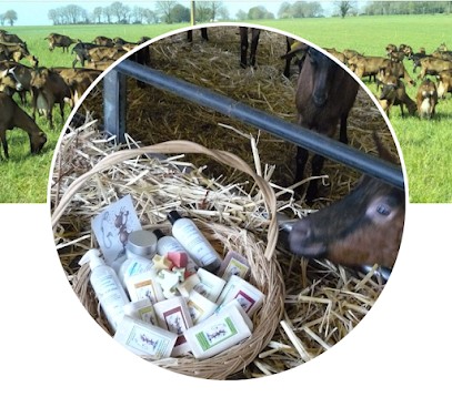 Douces chèvres, Ferme Bio à Guémené-Penfao
