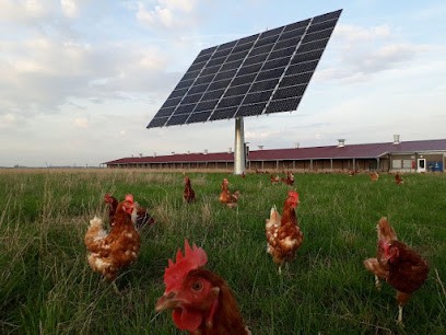 Distributeur Oeuf D'Angi, Magasin Bio à Angivillers