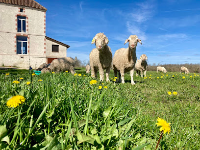 Magnifique Mohair, Ferme Bio à Mauroux