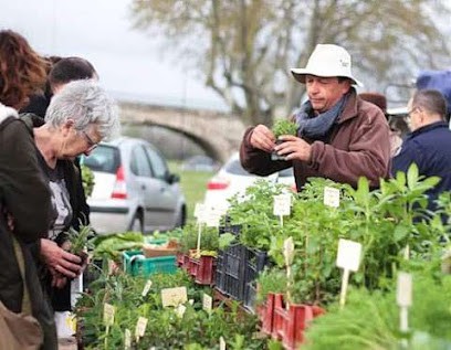 Le Jardin De Masset Michel AMOROS, Ferme Bio à Sarrians