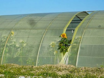 Les Jardins de l'escapade, Ferme Bio à Lauris