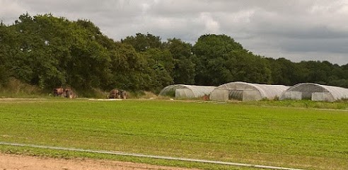 La Ferme de Lévéra, Ferme Bio à Guérande