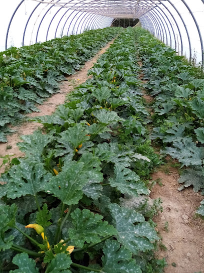 Thératerre, Ferme Bio à Thuir