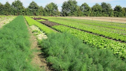 Ferme des Grands Chênes, Ferme Bio aux Lucs-sur-Boulogne