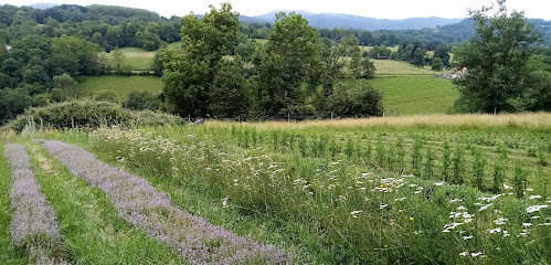 Ferme Des 8 Montagnes Ferme Bio à la Bastide-de-Sérou