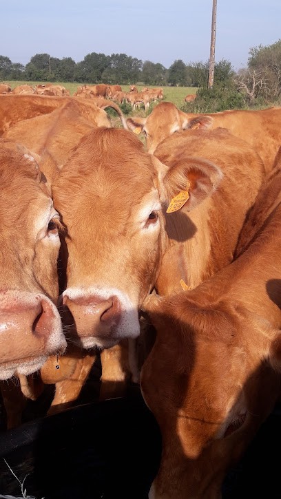 La Ferme Du Brulon, Ferme Bio à Guenrouet