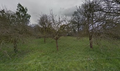 Les champs vivants - Gaec de Keraudic, Ferme Bio à Quistinic