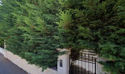 Miel et Plantes, Magasin Bio à Bry-sur-Marne