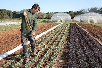 La Semence Bio, Ferme Bio à Rousset