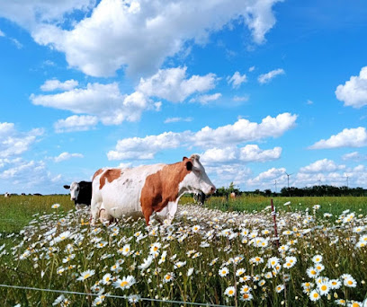 La Ferme Des Granges Ferme Bio à Landrais