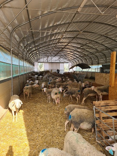 Ferme Agroforestière De Bagne Loup, Ferme Bio à Brouzet-lès-Quissac