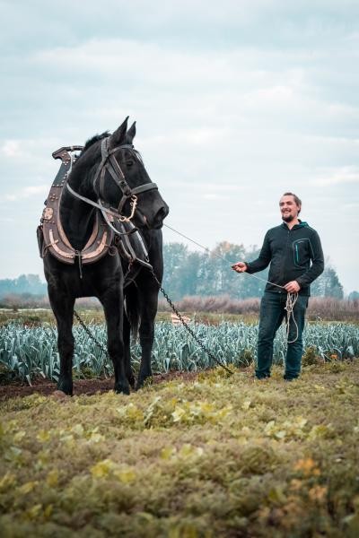 Le Jardin Des Loufs, Ferme Bio au Doulieu