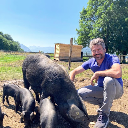 Les Noirs De Candésir Ferme Bio à Pouzac