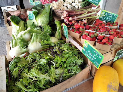 Les Légumes De Manu, Ferme Bio à Pommerit-le-Vicomte