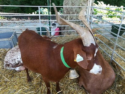 Gaec de la Feuille, Ferme Bio à Lieurac