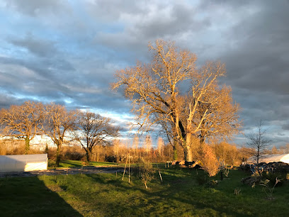 La Ferme Des Chênes Regniers, Ferme Bio à Lalandusse