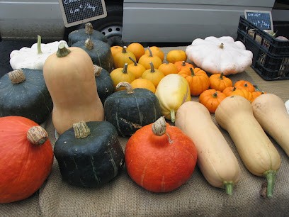 Légumes bio du Tronquay, Ferme Bio au Tronquay