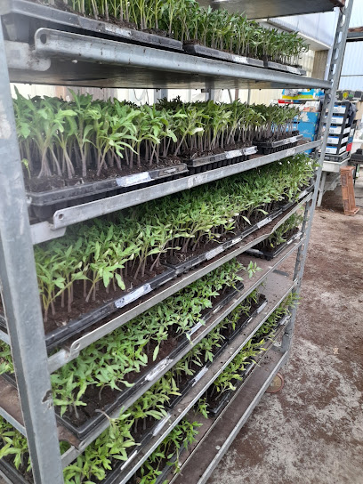 Mes Bio Légumes, Magasin Bio à Saint-Genis-l'Argentière