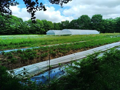 La ferme de Kerledern, Ferme Bio à Pluzunet