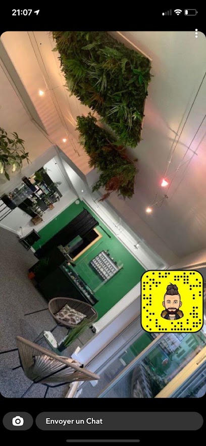 Bio Hemp Cbd Molsheim, Magasin Bio à Molsheim