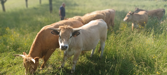 La Ferme De Toutes Aures, Ferme Bio à Brion