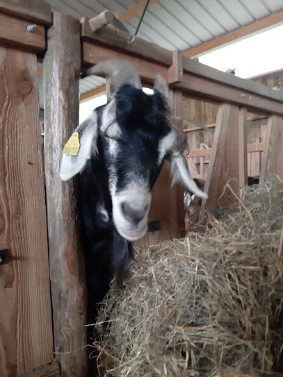 Ferme Des Ardoisières, Ferme Bio à Saint-Barthélemy-d'Anjou
