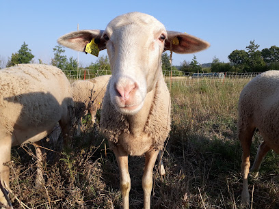 Earl Les Voix Lactées, Ferme Bio à Eurre
