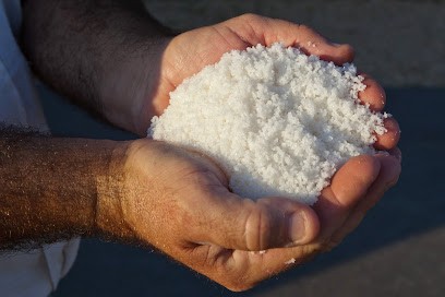 The Salorge of Rostu, Ferme Bio à Mesquer