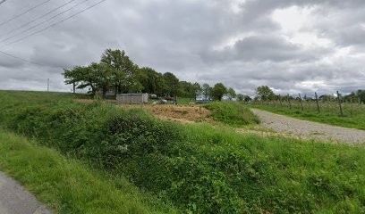 Les Vergers de la Louesnaie, Ferme Bio à Malansac