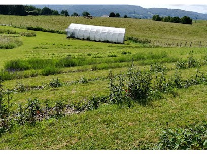 Le Jardin des Malices, Ferme Bio à Chabons