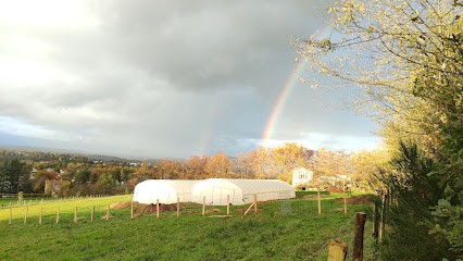 Le Courtil De Lucile, Ferme Bio à Francheville