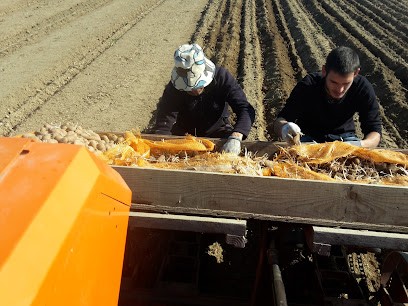 Ferme Escale, Ferme Bio à Tréméreuc