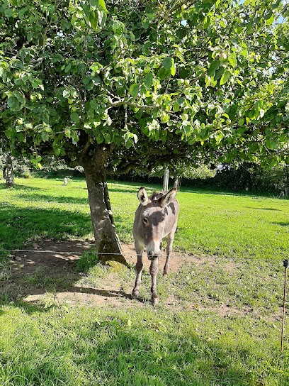 La Ferme de Domi & Isa, Ferme Bio à Yvetot-Bocage