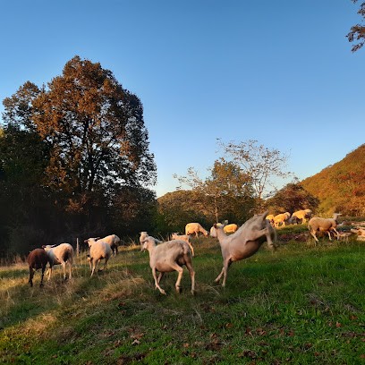 La bergerie de la Perrière, Ferme Bio à La Bridoire