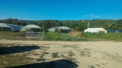 Lutin Jardin, Ferme Bio à Montferrier-sur-Lez