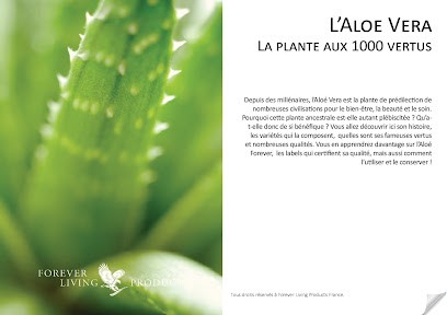 Distributeur d'aloe vera Forever Living à Pont-L'Abbée, Magasin Bio à Pont-l'Abbé