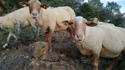 LA BORIA DE LA RAI-OLE, Ferme Bio à Mialet