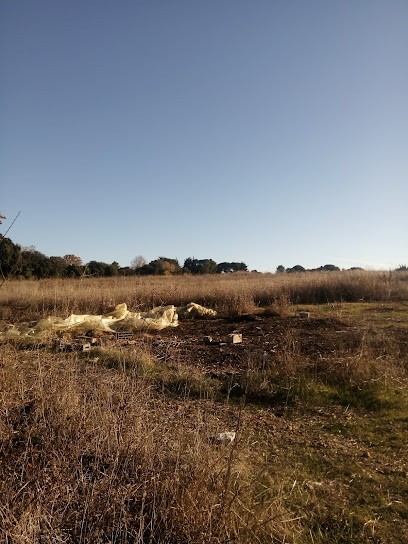 Ferme Urbaine Collective De La Condamine, Ferme Bio à Montpellier