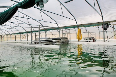 La Spiruline De Marc, Magasin Bio à Saint-Léger-lès-Authie