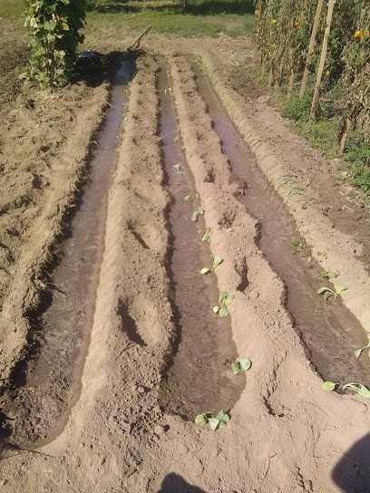 LES JARDINS DE JULIEN - ALBAFOUILLE Pascale et Jean-François, Ferme Bio à Latour-Bas-Elne