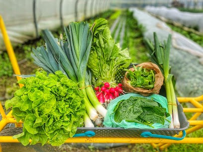 Les Racines D'Or, Ferme Bio à Flassigny