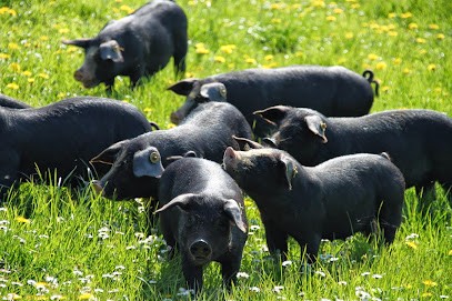 LES MEULES FERMIERES, Ferme Bio à Conlie