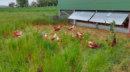 Le panier de Florry - Vente d'oeufs bio & local, Magasin Bio à Chauffour-lès-Étréchy