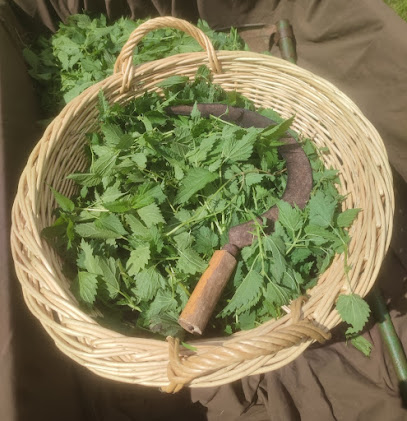 Hortisoin, Ferme Bio à Mauriac