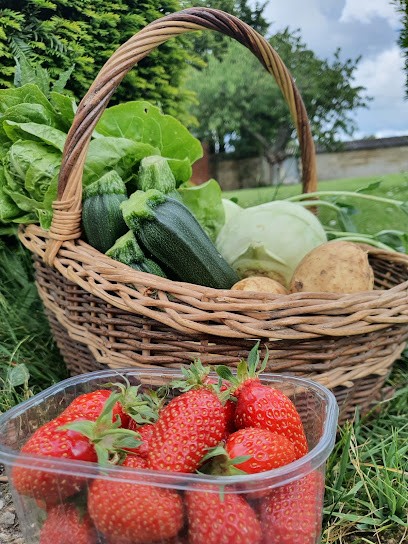 La petite ferme des Béliers, Ferme Bio à Grainville-Langannerie