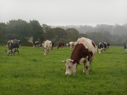 La Ferme De La Forge, Ferme Bio à Saint-Christophe-du-Foc
